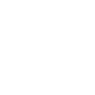 Chat (1)